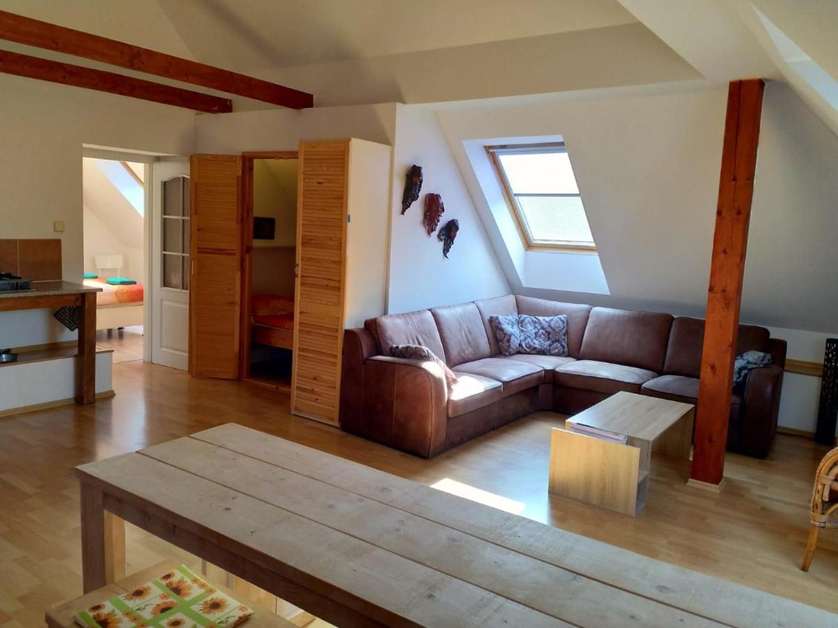 Camping & Guest House Pliskovice Mirovice Екстер'єр фото