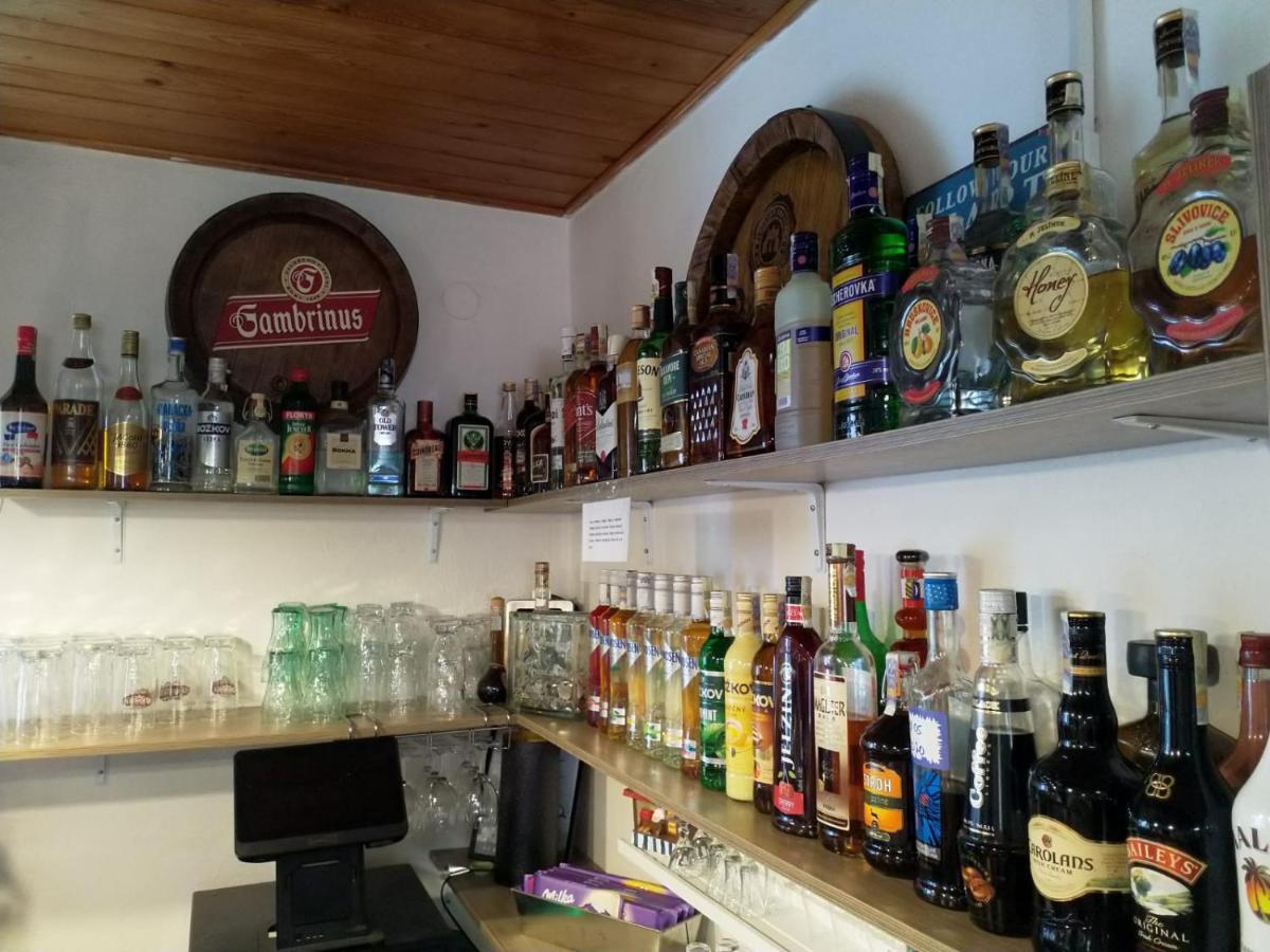 Camping & Guest House Pliskovice Mirovice Екстер'єр фото