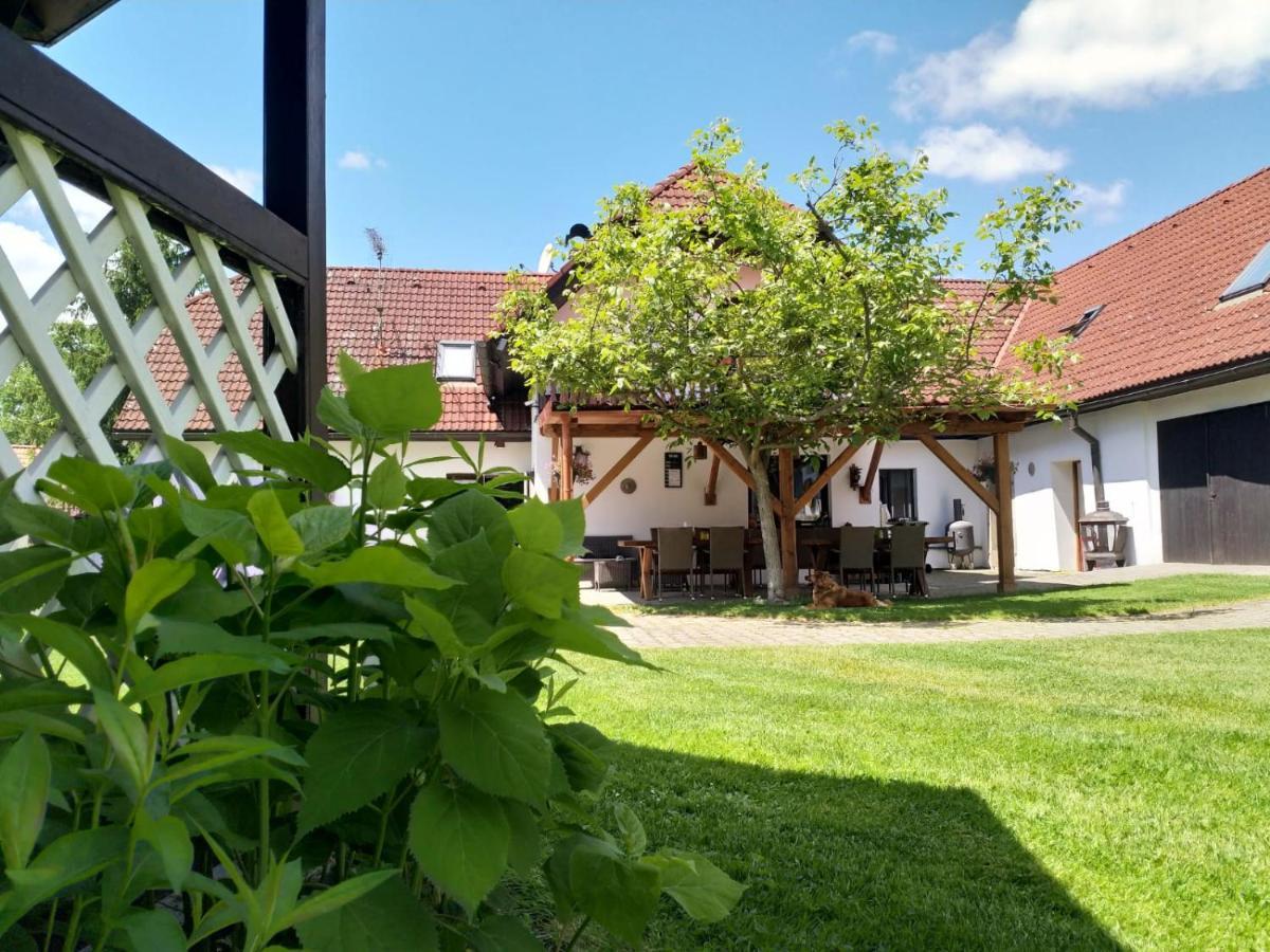 Camping & Guest House Pliskovice Mirovice Екстер'єр фото