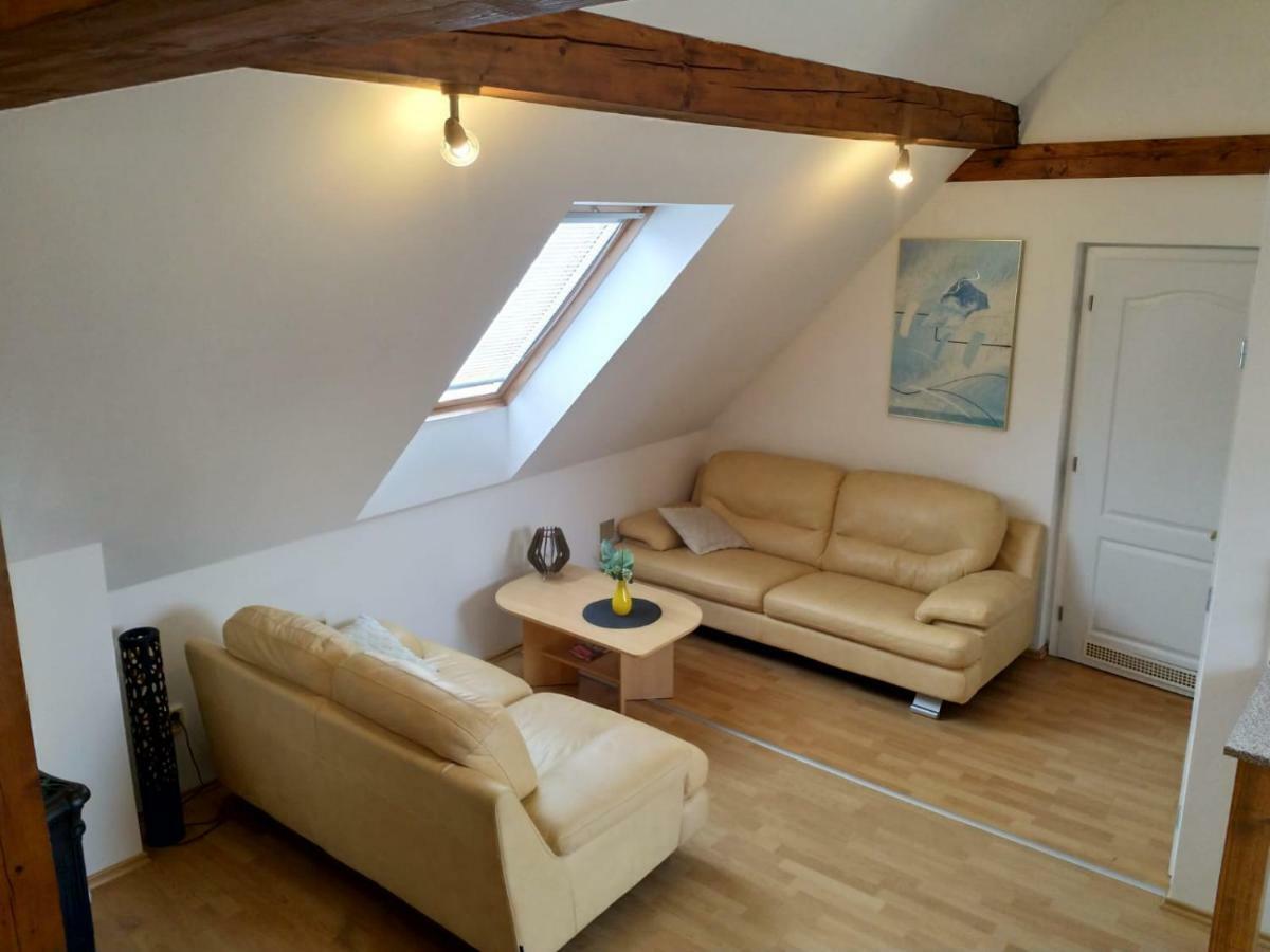 Camping & Guest House Pliskovice Mirovice Екстер'єр фото